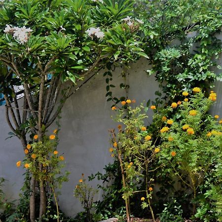 Bed and Breakfast Bellaxy Ceylon Exterior foto
